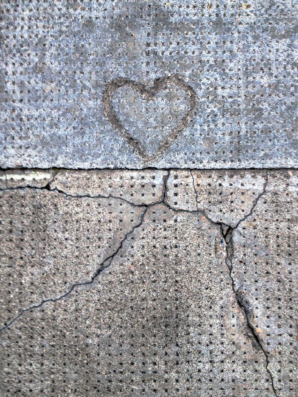 Roots of the Heart, 2014